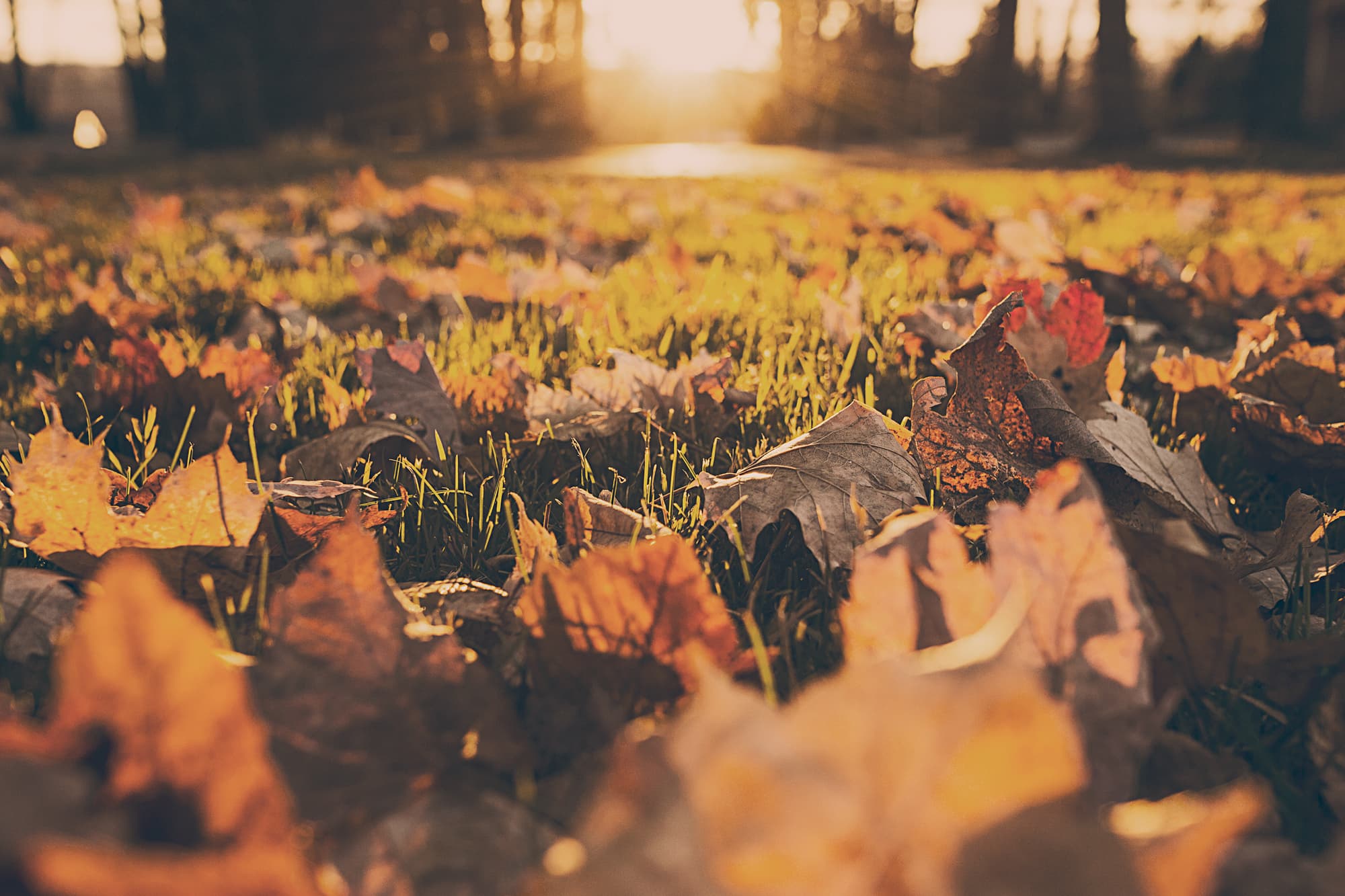 September Smiles: Why This Month Is the Perfect Time to Prioritize Your Dental Health