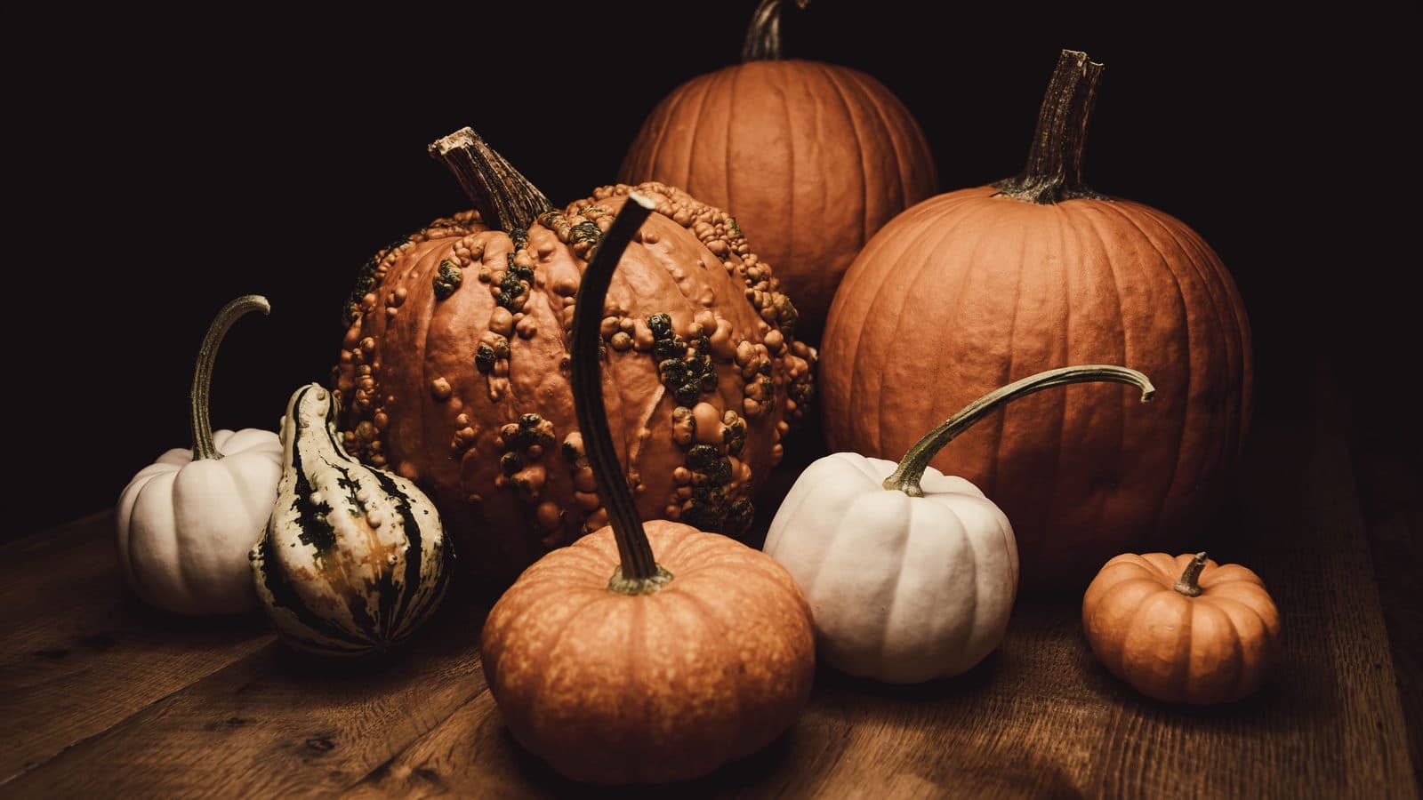 Thanksgiving 2025: A Season of Gratitude, Reflection, and Healthy Holiday Habits